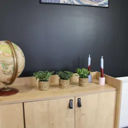 Plante artificielle avec pot tressé (Lot de 3)