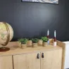 Plante artificielle avec pot tressé (Lot de 3)