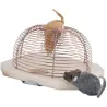 Piège à souris vivantes