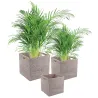 Cache-pots carrés en rotin patiné blanc (lot de 2)