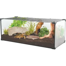 Kit terrarium tortue terrestre Karapas Pro
