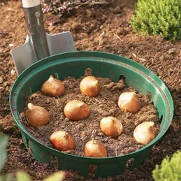Panier pour bulbes rond 30 cm (Lot de 2)