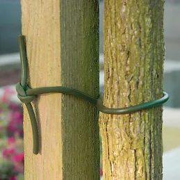Lien d'attache en PVC pour plantes 60 m