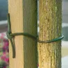Lien d'attache en PVC pour plantes 60 m