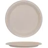 Set de 50 assiettes éco-responsables en blé 25 cm