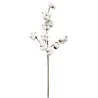 Set de 3 branches de coton 70 cm