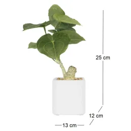 Plante artificielle pot carré blanc mat 26 cm