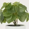 Pilea artificielle pot effet ciment 23 cm