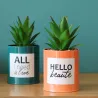 Succulentes artificielles dans pots à message 17 cm (Lot de 2)