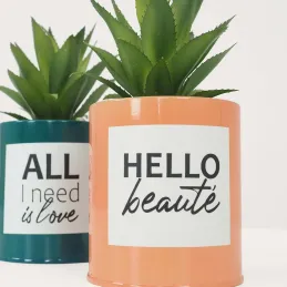 Succulentes artificielles dans pots à message 17 cm (Lot de 2)