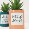 Succulentes artificielles dans pots à message 17 cm (Lot de 2)