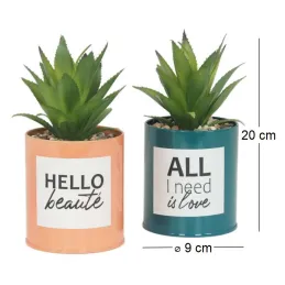 Succulentes artificielles dans pots à message 17 cm (Lot de 2)