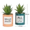 Succulentes artificielles dans pots à message 17 cm (Lot de 2)
