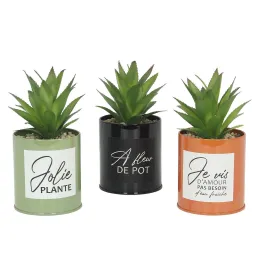 Succulentes artificielles dans pots colorés 17 cm (Lot de 3)