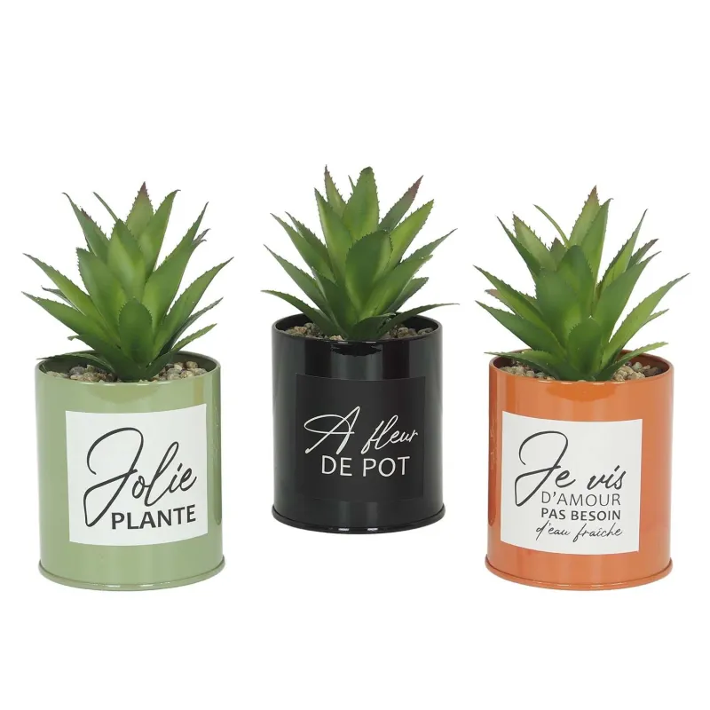 Succulentes artificielles dans pots colorés 17 cm (Lot de 3)