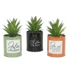 Succulentes artificielles dans pots colorés 17 cm (Lot de 3)