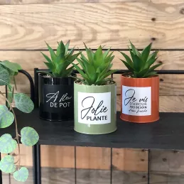 Succulentes artificielles dans pots colorés 17 cm (Lot de 3)