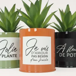 Succulentes artificielles dans pots colorés 17 cm (Lot de 3)