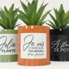 Succulentes artificielles dans pots colorés 17 cm (Lot de 3)
