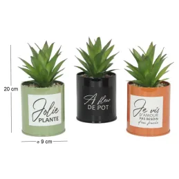 Succulentes artificielles dans pots colorés 17 cm (Lot de 3)