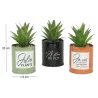 Succulentes artificielles dans pots colorés 17 cm (Lot de 3)