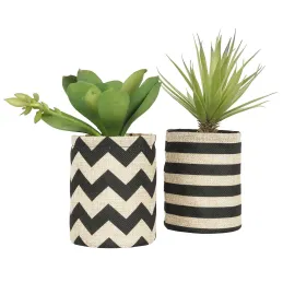 Succulentes dans pot en toile de jute 26 cm (Lot de 2)