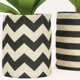 Succulentes dans pot en toile de jute 26 cm (Lot de 2)