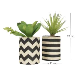 Succulentes dans pot en toile de jute 26 cm (Lot de 2)