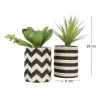 Succulentes dans pot en toile de jute 26 cm (Lot de 2)