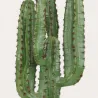 Cactus artificiel 4 branches en pot 70 cm