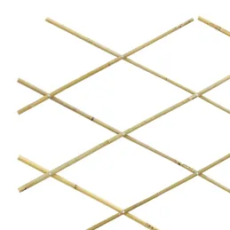 Treillis extensible en bambou