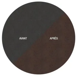 Pluvier doré à planter en acier corten