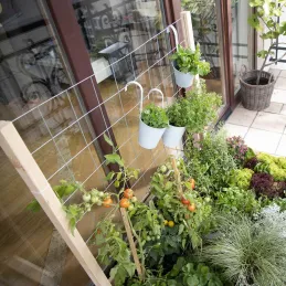 Treillis pour carré potager Gardenbox