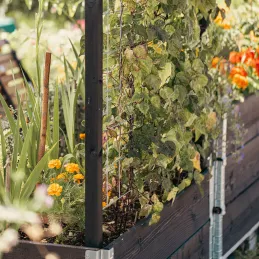 Treillis pour carré potager Gardenbox
