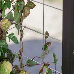 Treillis pour carré potager Gardenbox