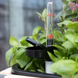 Système d'auto-arrosage pour potager