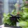 Système d'auto-arrosage pour potager