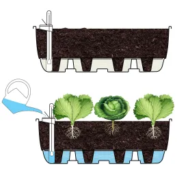 Système d'auto-arrosage pour potager