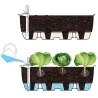 Système d'auto-arrosage pour potager