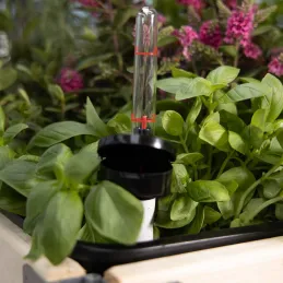 Système d'auto-arrosage pour potager