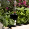 Système d'auto-arrosage pour potager