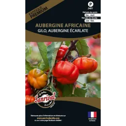 Graines potagères premium aubergine