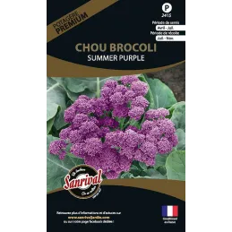 Graines potagères premium chou