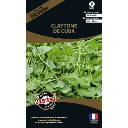 Graines potagères premium Claytone de Cuba