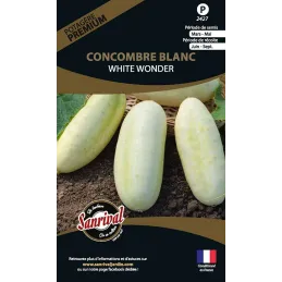 Graines potagères premium Concombre