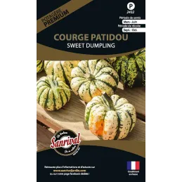 Graines potagères premium Courge