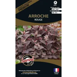 Graines potagères premium Arroche