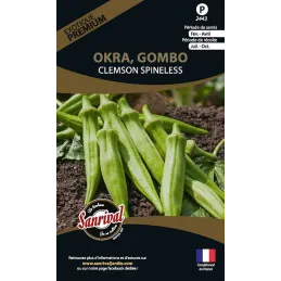Graines potagères premium Okra gombo