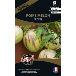 Graines potagères premium poire melon