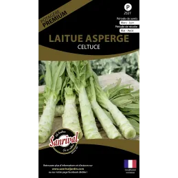 Graines potagères premium laitue
